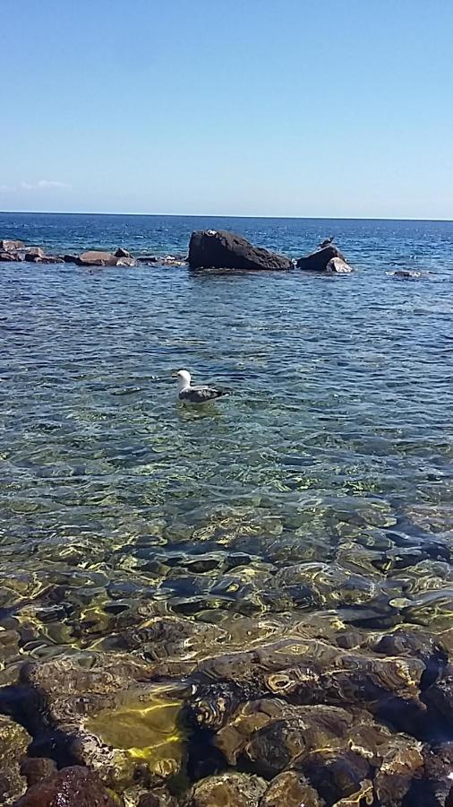 Capraia Per Te Exterior foto